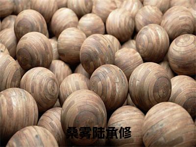 桑雾陆承修(陆承修桑雾全章节完整版)免费阅读_(陆承修桑雾)桑雾陆承修全文无删减免费阅读