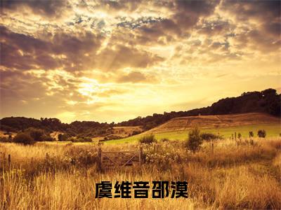 虞维音邵漠结局_（邵漠虞维音）虞维音邵漠最新章节列表_笔趣阁