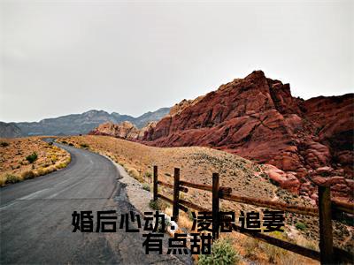 苏熙凌久泽全文免费阅读无弹窗大结局_(婚后心动:凌总追妻有点甜小说)苏熙凌久泽最新章节列表笔趣阁(婚后心动:凌总追妻有点甜)
