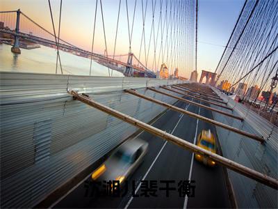 （沈湘儿裴干衡）全文免费阅读-沈湘儿裴干衡（裴干衡沈湘儿）最新章节列表阅读