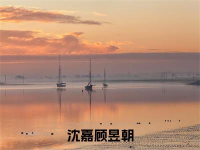 沈嘉顾昱朝免费小说-(沈嘉顾昱朝)顾昱朝沈嘉完结版在线阅读