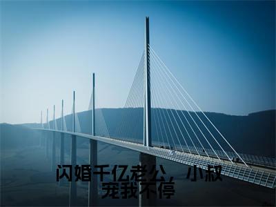 闪婚千亿老公,小叔宠我不停最新章节(傅时霆楚婳)全文免费阅读无弹窗大结局_傅时霆楚婳闪婚千亿老公,小叔宠我不停全文免费阅读