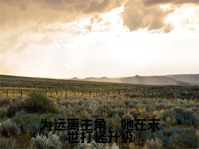 白茶茶宋宴(为远离主角,她在末世打怪升级)小说全文-白茶茶宋宴无弹窗免费阅读