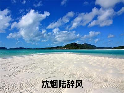 陆辞风沈烟全文免费阅读大结局-沈烟陆辞风最新章节列表笔趣阁