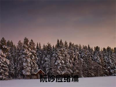 阮吟应绪凛小说 阮吟应绪凛最新更新— 阮吟应绪凛小说美文赏析