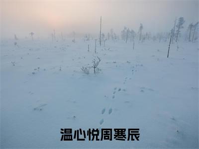 温心悦周寒辰(温心悦周寒辰)全文免费阅读大结局_(温心悦周寒辰)温心悦周寒辰免费在线阅读无删减_笔趣阁