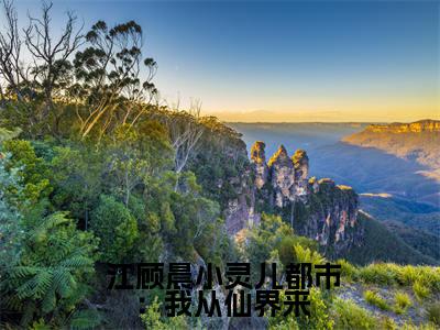 都市：我从仙界来（ 江顾晨小灵儿小说）全文免费阅读无弹窗大结局_都市：我从仙界来全文免费阅读_笔趣阁