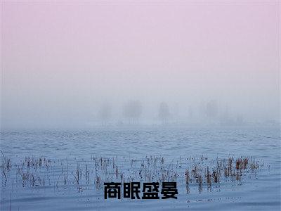 商眠盛晏小说全文免费阅读(商眠盛晏)全文免费商眠盛晏小说无弹窗大结局_商眠盛晏读最新章节列表_笔趣阁(商眠盛晏小说)