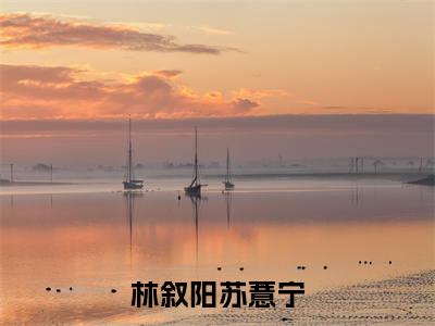 小说林叙阳苏薏宁免费阅读-(林叙阳苏薏宁)全文无弹窗阅读