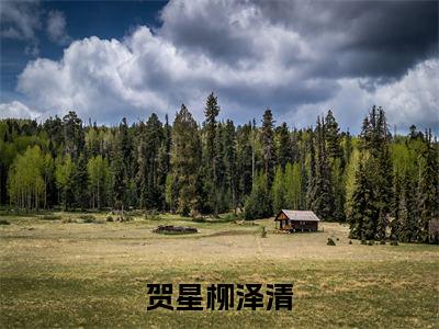 贺星柳泽清小说(贺星柳泽清)全文免费阅读无弹窗_贺星柳泽清小说全文免费阅读)贺星柳泽清最新章节列表笔趣阁（贺星柳泽清）