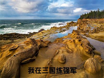 (热推新书)(我在三国练强军)全文免费阅读无弹窗大结局-高博全文阅读无弹窗