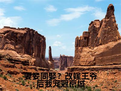 妻妾同娶？改嫁王爷后我宠冠京城（大结局小说全集完整版）安若晚顾北尘小说_妻妾同娶？改嫁王爷后我宠冠京城全文阅读笔趣阁