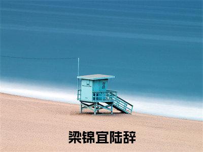 主角是梁锦宜陆辞的小说-梁锦宜陆辞全文无弹窗免费阅读