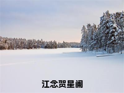 江念贺星阑（贺星阑江念）全文免费阅读无弹窗大结局_（江念贺星阑）最新章节列表_笔趣阁