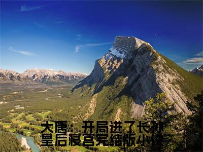 小说大唐：开局进了长孙皇后寝宫免费在线阅读-小说主角叫 杨华周锦的小说完整版免费读全文