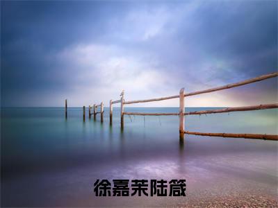 徐嘉茉陆箴（陆箴徐嘉茉）小说免费无弹窗大结局-徐嘉茉陆箴小说全文完整版阅读