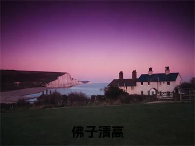  苏小婉陈寰（佛子清高，胡姬不好撩无弹窗）全文免费阅读无弹窗大结局_（ 苏小婉陈寰全文免费阅读无弹窗）佛子清高，胡姬不好撩无弹窗最新章节列表_笔趣阁（ 苏小婉陈寰）