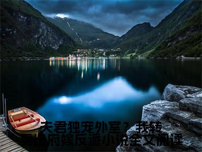 夫君独宠外室？我转身出府嫁反派（ 宋谦谢锦云）全文免费阅读无弹窗大结局_ 宋谦谢锦云全文免费阅读_笔趣阁（夫君独宠外室？我转身出府嫁反派）