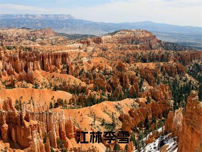  江林李雪（顶级豪门最新全章节大结局）全文阅读