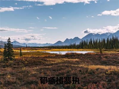 褚寒执郁鸢小说免费阅读(郁鸢褚寒执)全文免费阅读无弹窗大结局_褚寒执郁鸢小说免费阅读最新章节列表_笔趣阁(郁鸢褚寒执)
