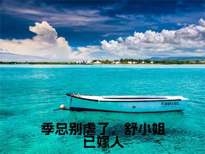 （季总别虐了，舒小姐已嫁人）全文免费阅读-季总别虐了，舒小姐已嫁人（季司寒舒晚）最新章节列表阅读
