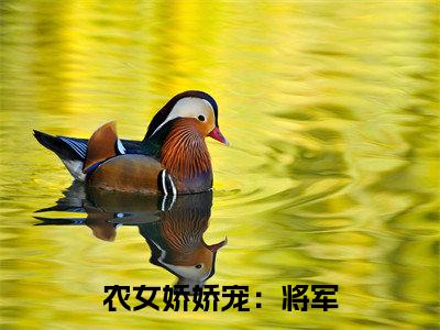 农女娇娇宠：将军，不要了！全文免费在线阅读_（ 宋千寒南宫澈免费阅读无弹窗）农女娇娇宠：将军，不要了！全文免费完结版阅读（ 宋千寒南宫澈）