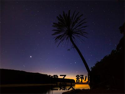 季总别虐了,舒小姐已嫁人小说(季司寒舒晚)免费阅读全文无弹窗大结局_季司寒舒晚免费阅读无弹窗小说_小说笔趣阁