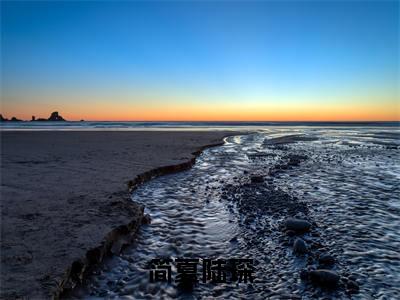 简夏陆琛热门小说目录推荐 陆琛简夏全文完整版阅读