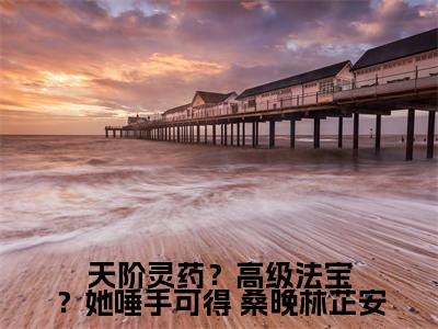 天阶灵药？高级法宝？她唾手可得（ 桑晚林芷安）全文免费阅读无弹窗大结局_ 桑晚林芷安最新章节列表_笔趣阁（天阶灵药？高级法宝？她唾手可得）
