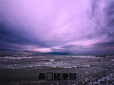 桑秞陆聿宸免费小说-(桑秞陆聿宸)陆聿宸桑秞完结版在线阅读