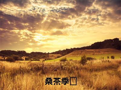桑茶季琒全本资源免费阅读结局无删节主角:季琒桑茶小说全文阅读无弹窗