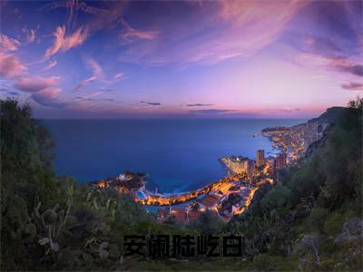 安阑陆屹白(陆屹白安阑)全文免费阅读大结局_(安阑陆屹白)陆屹白安阑免费在线阅读无删减_笔趣阁