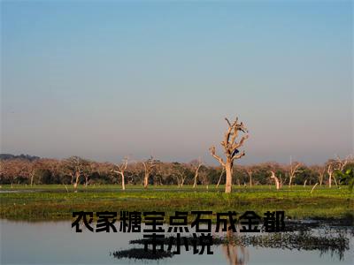 (农家糖宝点石成金抖音小说) 苏糖轩辕谨小说全文阅读免费