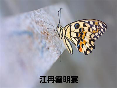 霍明宴江冉（江冉霍明宴）最新章节在线阅读 抖音新书热荐江冉霍明宴