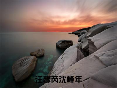 汪馨芮沈峰年小说(沈峰年汪馨芮)全文免费阅读结局-汪馨芮沈峰年强推全文阅读无弹窗