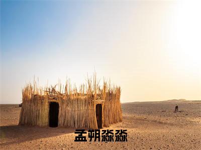 小说（孟朔淼淼）淼淼孟朔全文阅读-精彩美文孟朔淼淼免费阅读