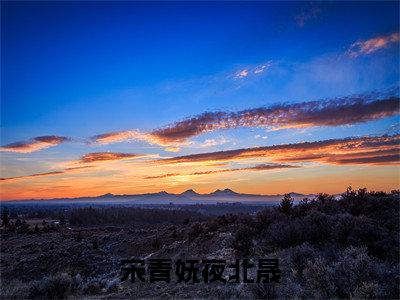 宋青妩夜北晟小说(夜北晟宋青妩)全文免费读无弹窗大结局_(夜北晟宋青妩小说免费宋青妩夜北晟阅读)