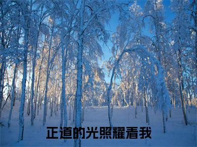 正道的光照耀着我(何苗苗冉均)全文免费阅读_(正道的光照耀着我)免费阅读无弹窗最新章节列表