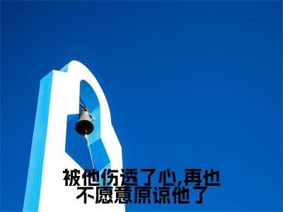 被他伤透了心,再也不愿意原谅他了(司承晗童念汐)精选好书-司承晗童念汐无删减小说在线阅读(被他伤透了心,再也不愿意原谅他了全文免费阅读)