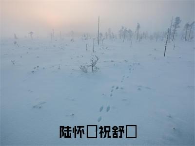 陆怀璟祝舒珣祝舒珣陆怀璟精彩章节-陆怀璟祝舒珣祝舒珣陆怀璟完整版阅读