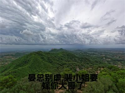 晏总别虐,裴小姐要嫁你大哥了(裴知夏晏漠寒)免费全文阅读小说_(晏总别虐,裴小姐要嫁你大哥了)裴知夏晏漠寒最新章节列表-笔趣阁(晏总别虐,裴小姐要嫁你大哥了)