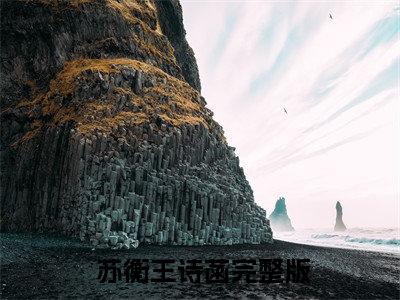 小说参加恋综，你把国民女儿拐跑了？小说主角是（ 苏衡王诗菡）全文完整版免费阅读最新章节列表_ 苏衡王诗菡小说在线阅读