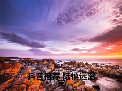 离婚后去孕检，被前夫跟踪 陆慎远温棠小说-离婚后去孕检，被前夫跟踪小说免费阅读