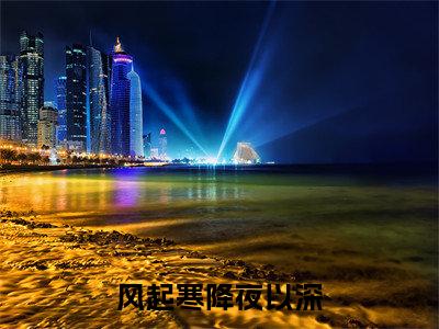 风起寒降夜以深小说（祝舒珣陆怀璟）全文免费阅读-风起寒降夜以深全文阅读无弹窗