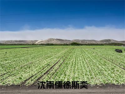 徐斯奕沈南儒沈南儒徐斯奕全文免费阅读_(徐斯奕沈南儒免费阅读无弹窗)沈南儒徐斯奕最新章节列表笔趣阁