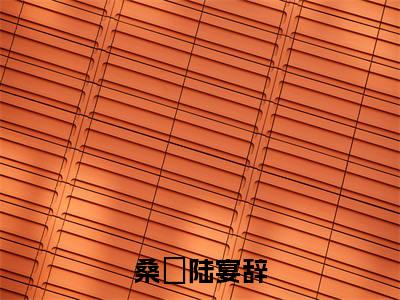 桑湳陆宴辞陆宴辞桑湳精彩章节在线阅读-陆宴辞桑湳美文欣赏