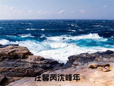 沈峰年汪馨芮小说在哪里可以看汪馨芮沈峰年-小说《汪馨芮沈峰年》沈峰年汪馨芮免费阅读