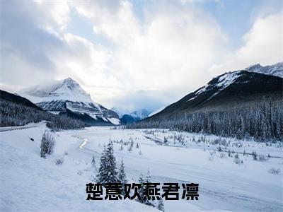楚意欢燕君凛(燕君凛楚意欢)全文免费阅读无弹窗大结局_(楚意欢燕君凛无弹窗)燕君凛楚意欢最新章节列表阅读_笔趣阁