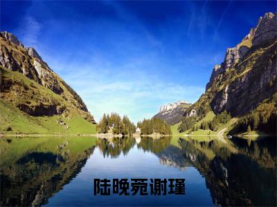 陆晚菀谢瑾(谢瑾陆晚菀小说)全文免费阅读无弹窗大结局_(陆晚菀谢瑾小说免费阅读全文大结局)最新章节列表_笔趣阁(谢瑾陆晚菀)