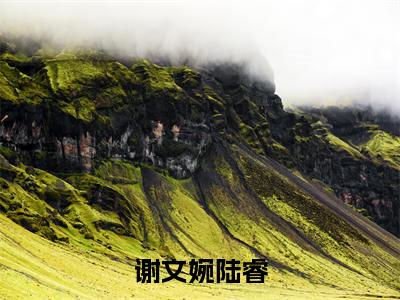 谢文婉陆睿全文免费阅读大结局_谢文婉陆睿(陆睿谢文婉)完整版在线赏析